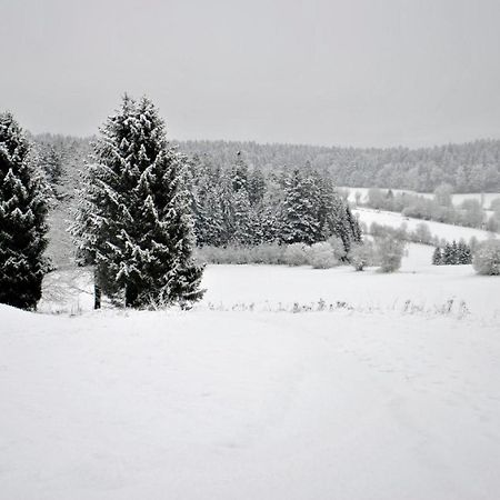 Fewo Radi An Der Buchberger Leite Apartment Hohenau ภายนอก รูปภาพ