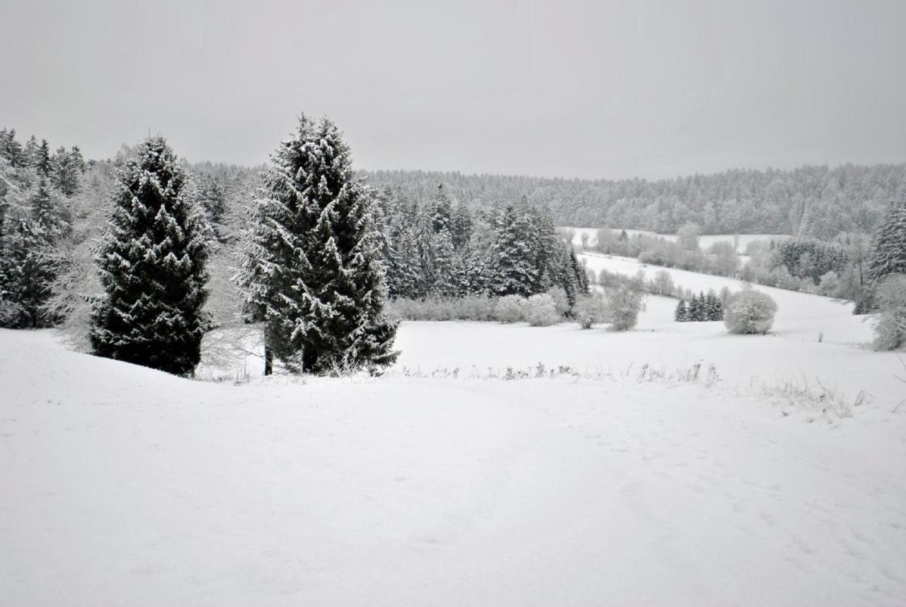 Fewo Radi An Der Buchberger Leite Apartment Hohenau ภายนอก รูปภาพ